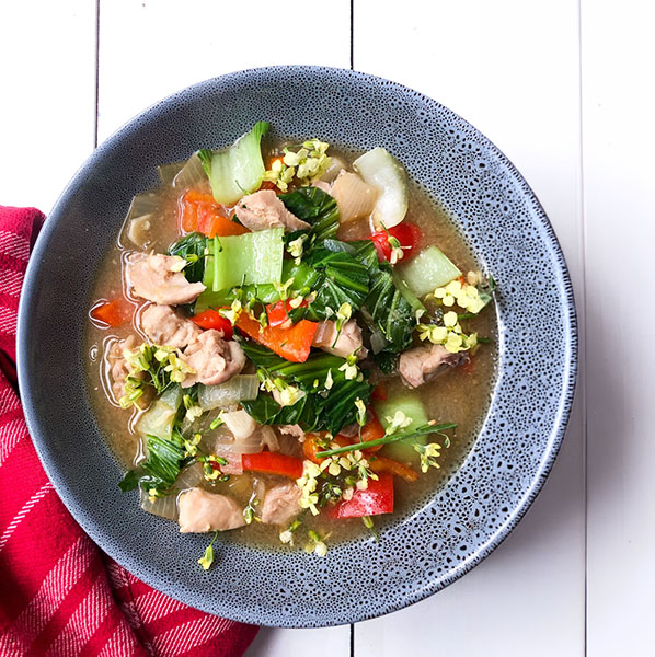 Immune boosting Gut Healing Easy Chicken & Veggie Soup