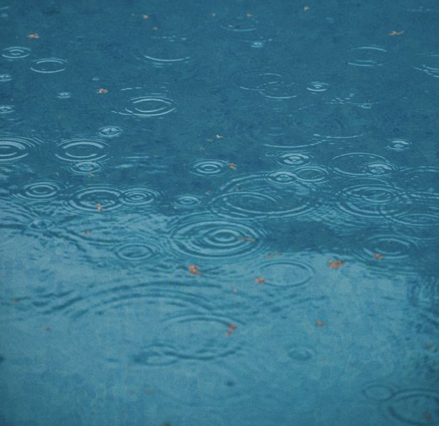 RAIN by Tara Brach