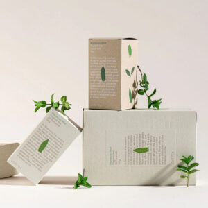 Love Tea - Moroccan Mint
